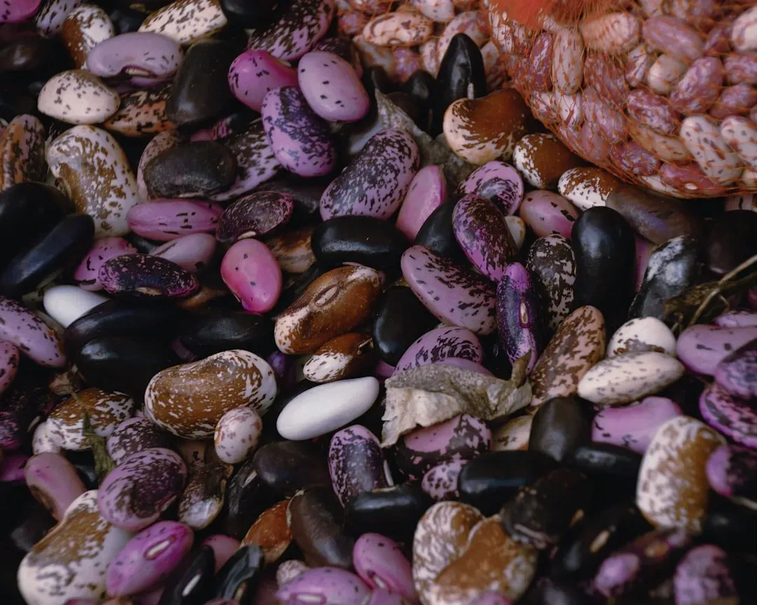 What Beans Do to the Gut Microbiome (Image Credits: Unsplash)