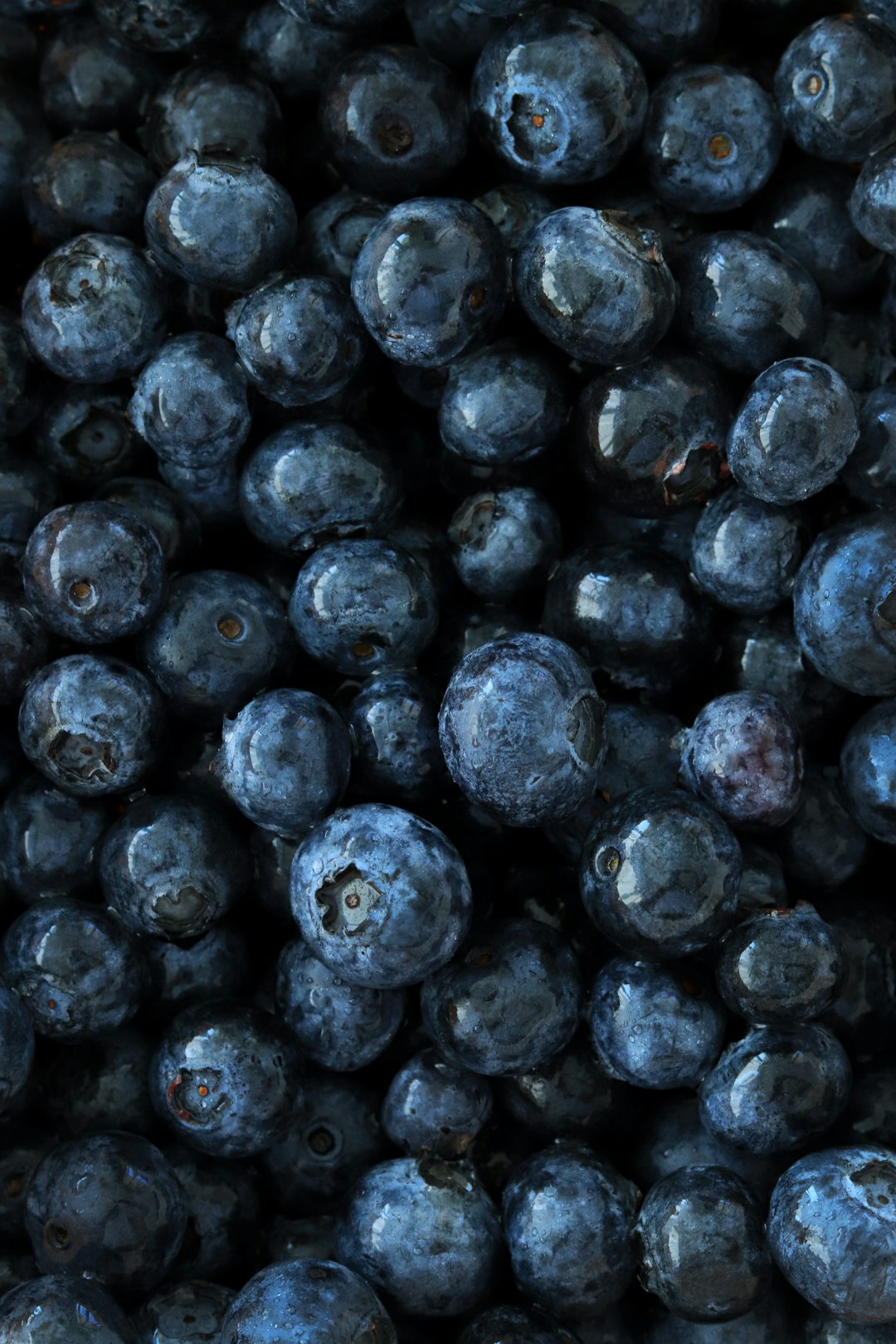 Blueberries: The Tiny Powerhouses (image credits: unsplash)