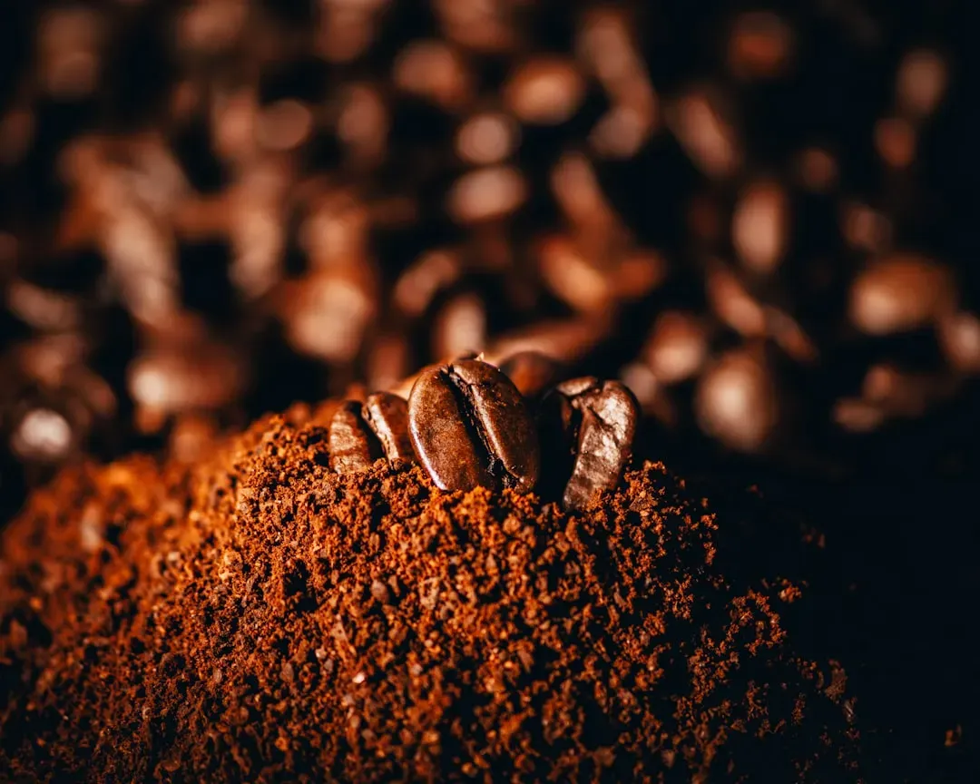 2. Use Coffee Grounds as a Soil Amendment (Image Credits: Unsplash)