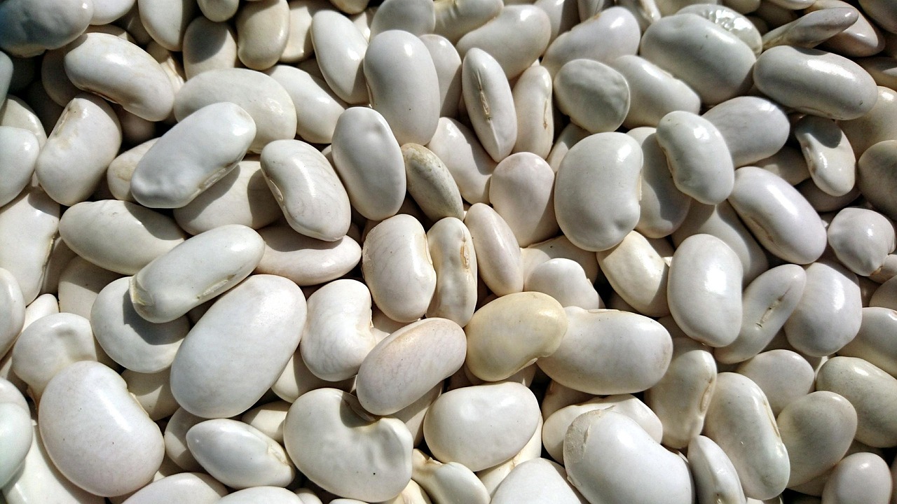 Beans: The Brain's Versatile Ally (image credits: pixabay)