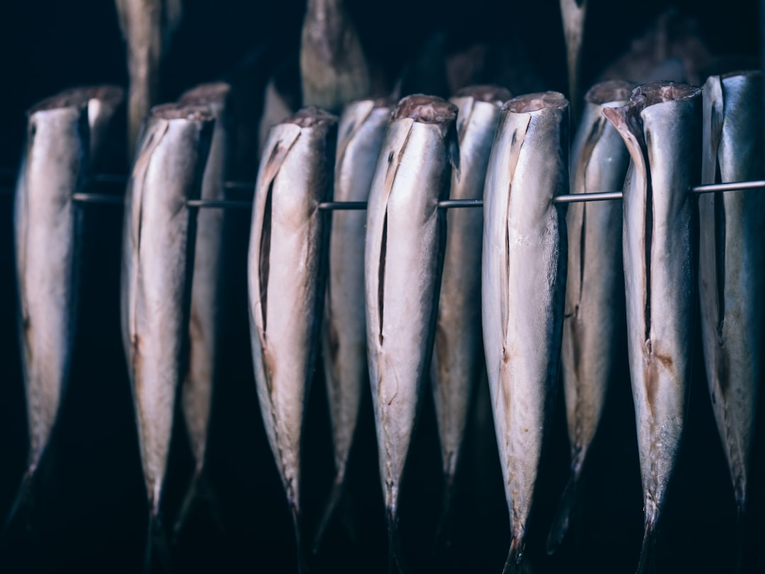 Scandinavian Fish Fermentation Practices (Image Credits: Unsplash)