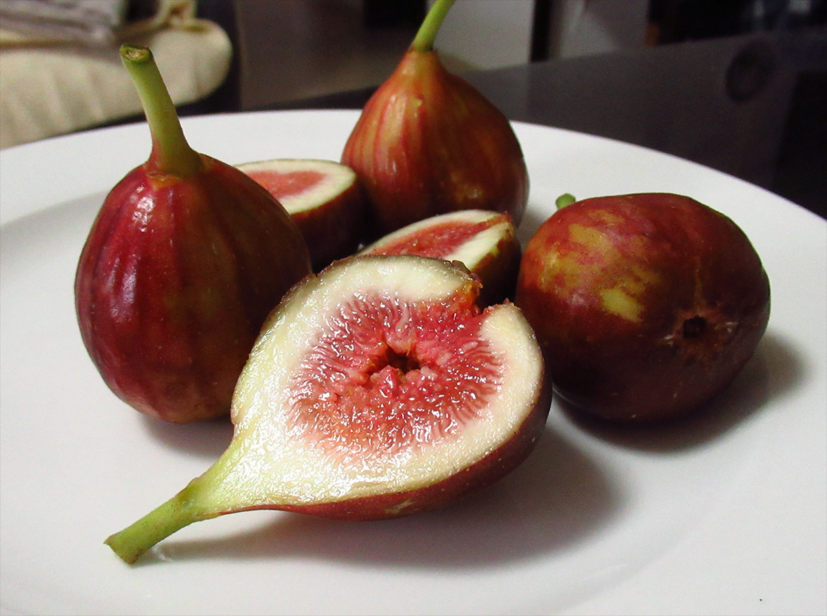 Figs: Nature’s Candy (image credits: wikimedia)