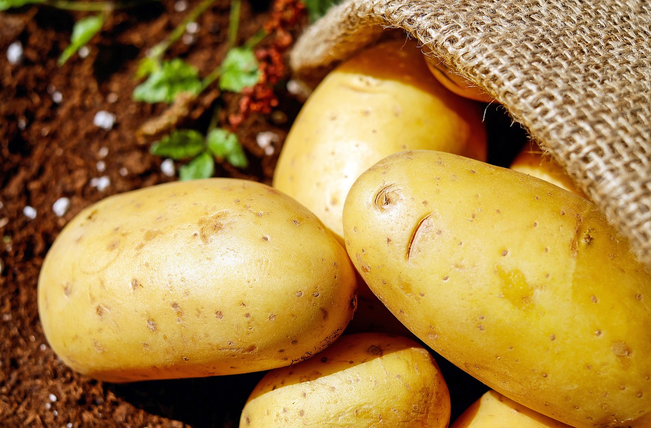 14. Potatoes: Blight Returns (image credits: pixabay)