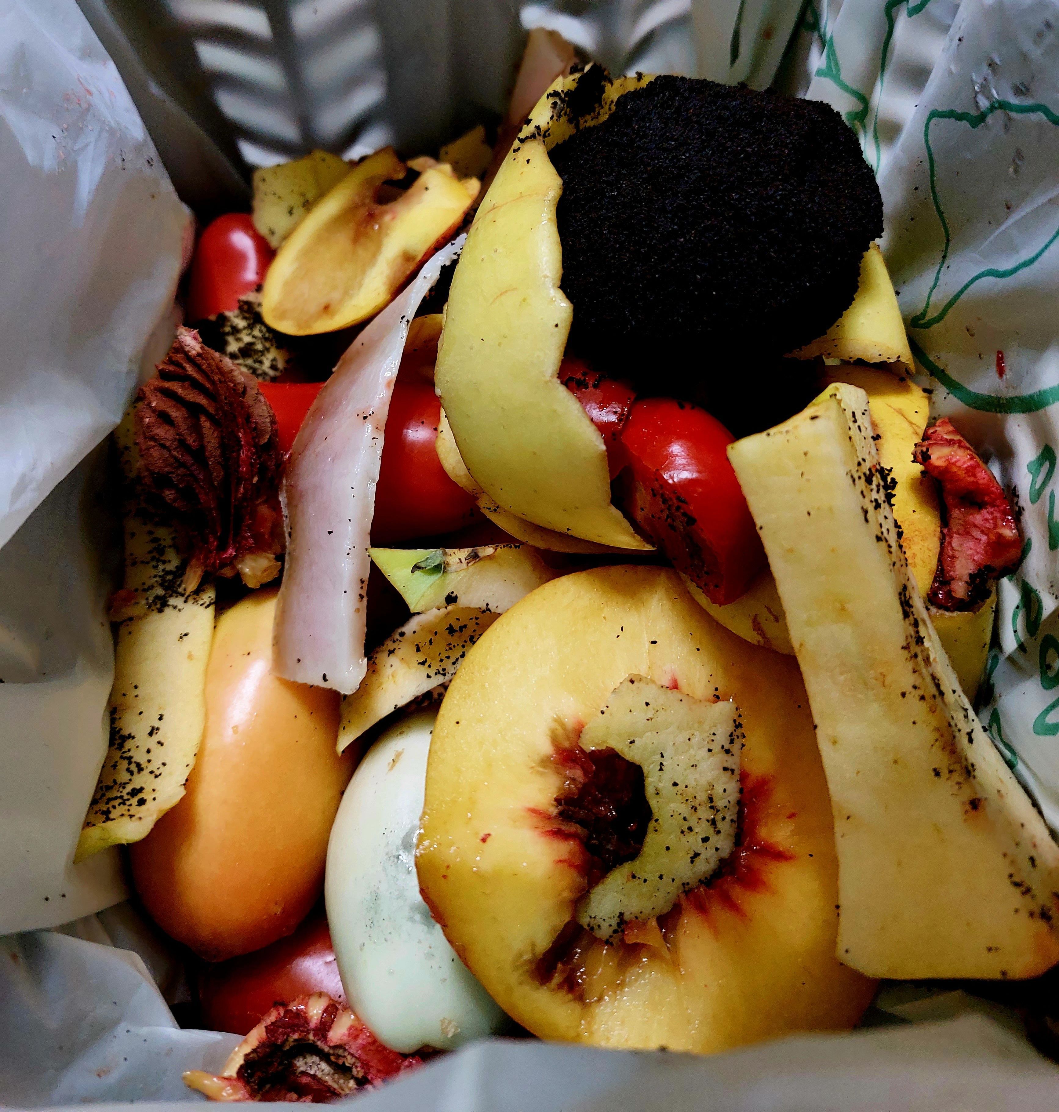 Discarding Vegetable Scraps (image credits: wikimedia)