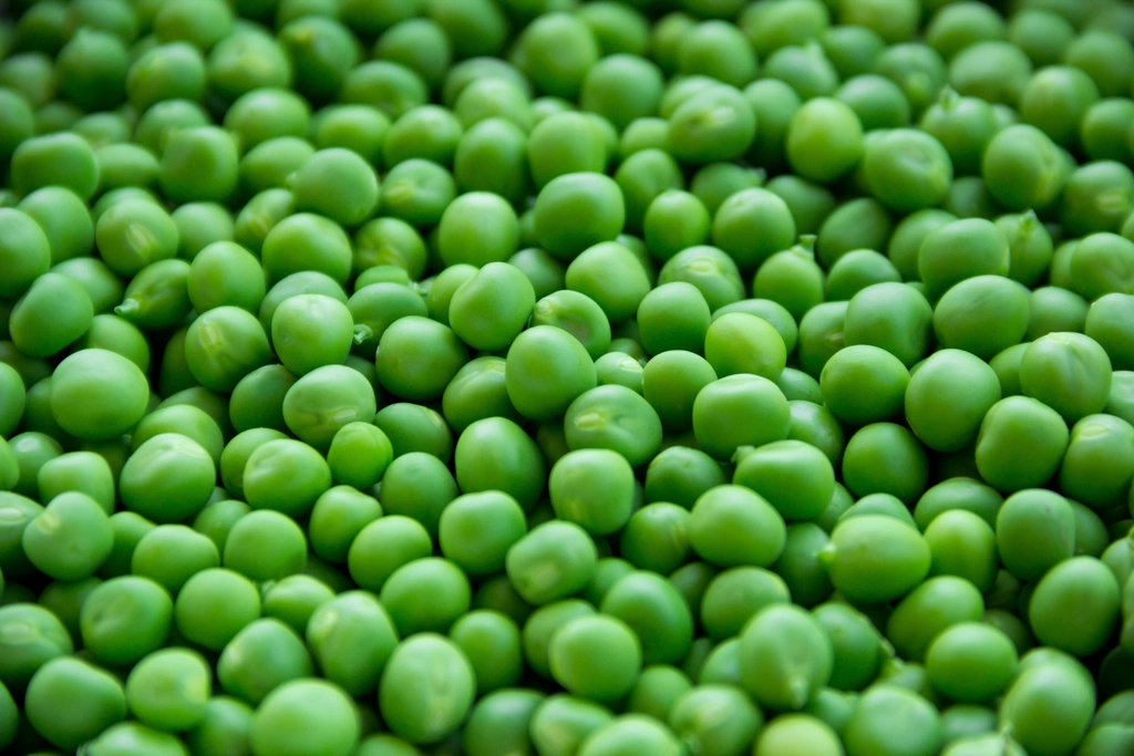 Green Peas: More Protein Than You Think (image credits: rawpixel)
