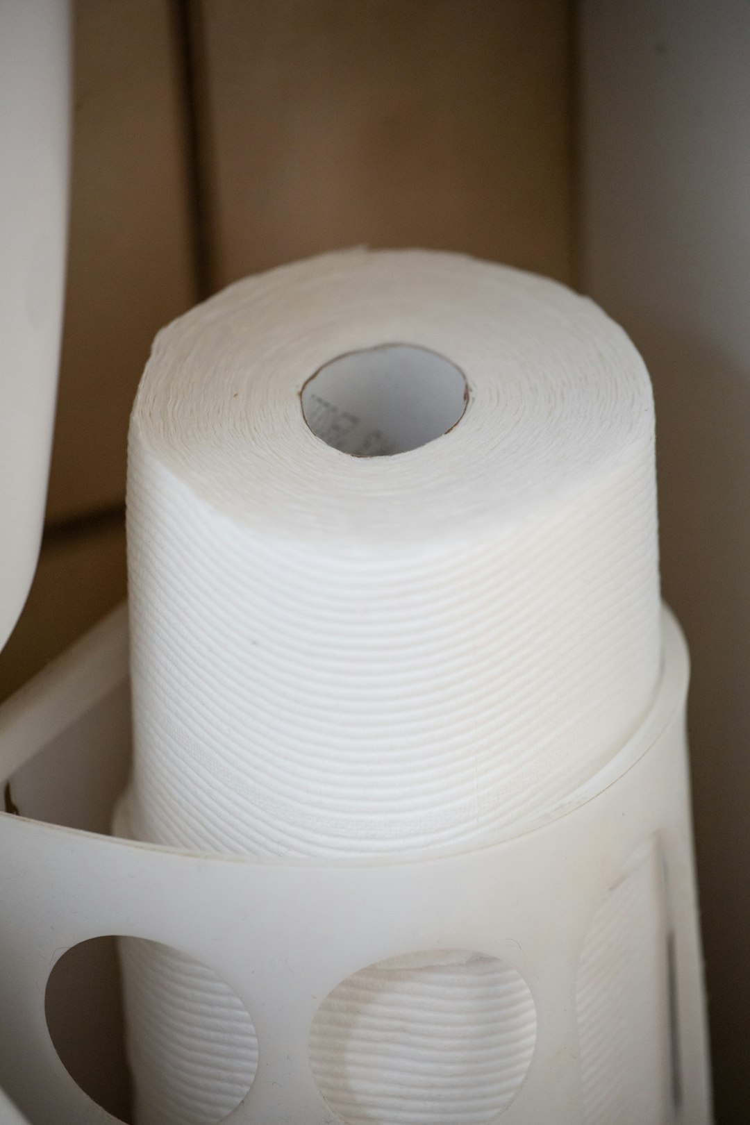 Angel Soft Toilet Paper: The Great Sheet Shortage (image credits: unsplash)