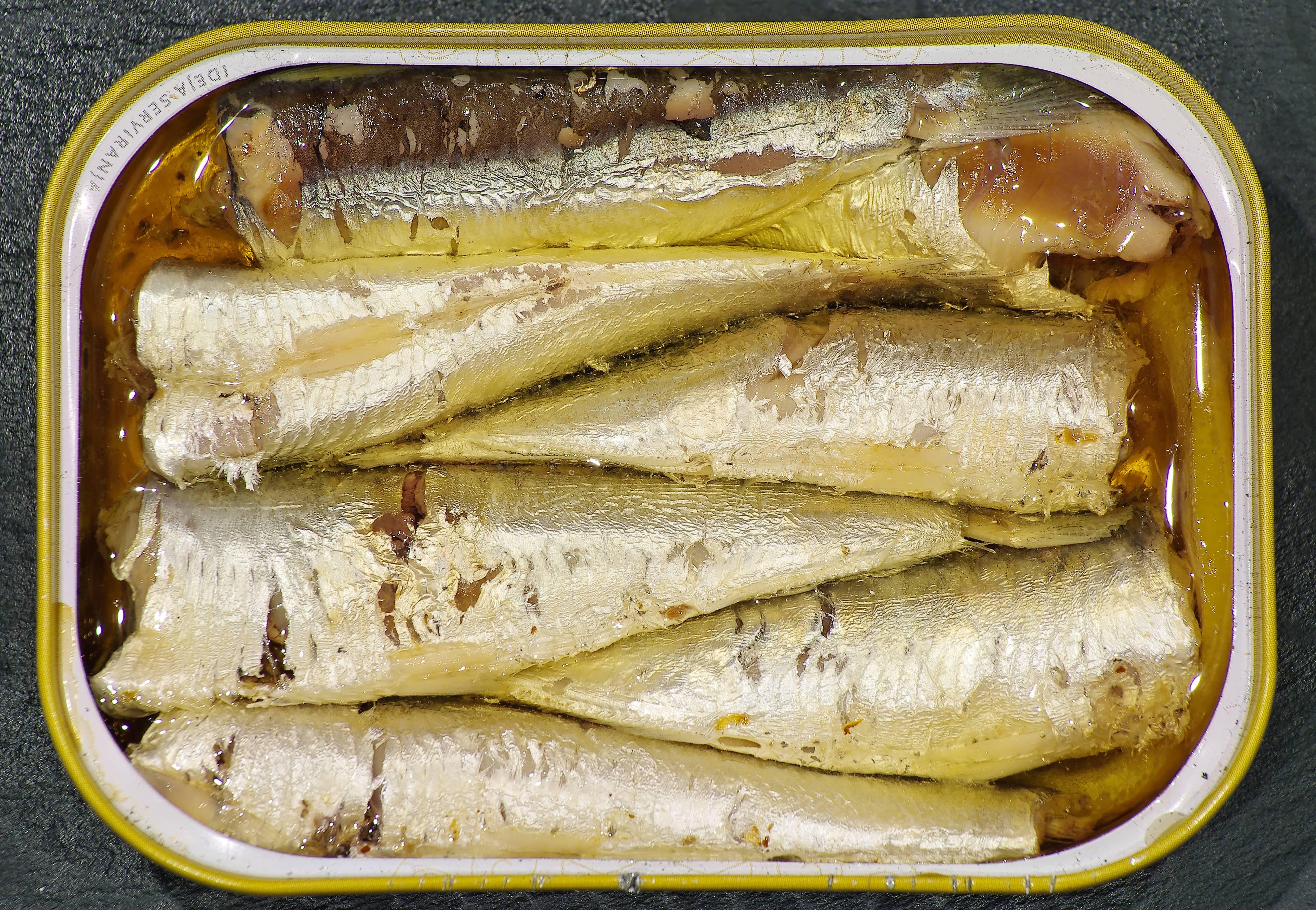 Sardines: Small but Mighty (image credits: wikimedia)