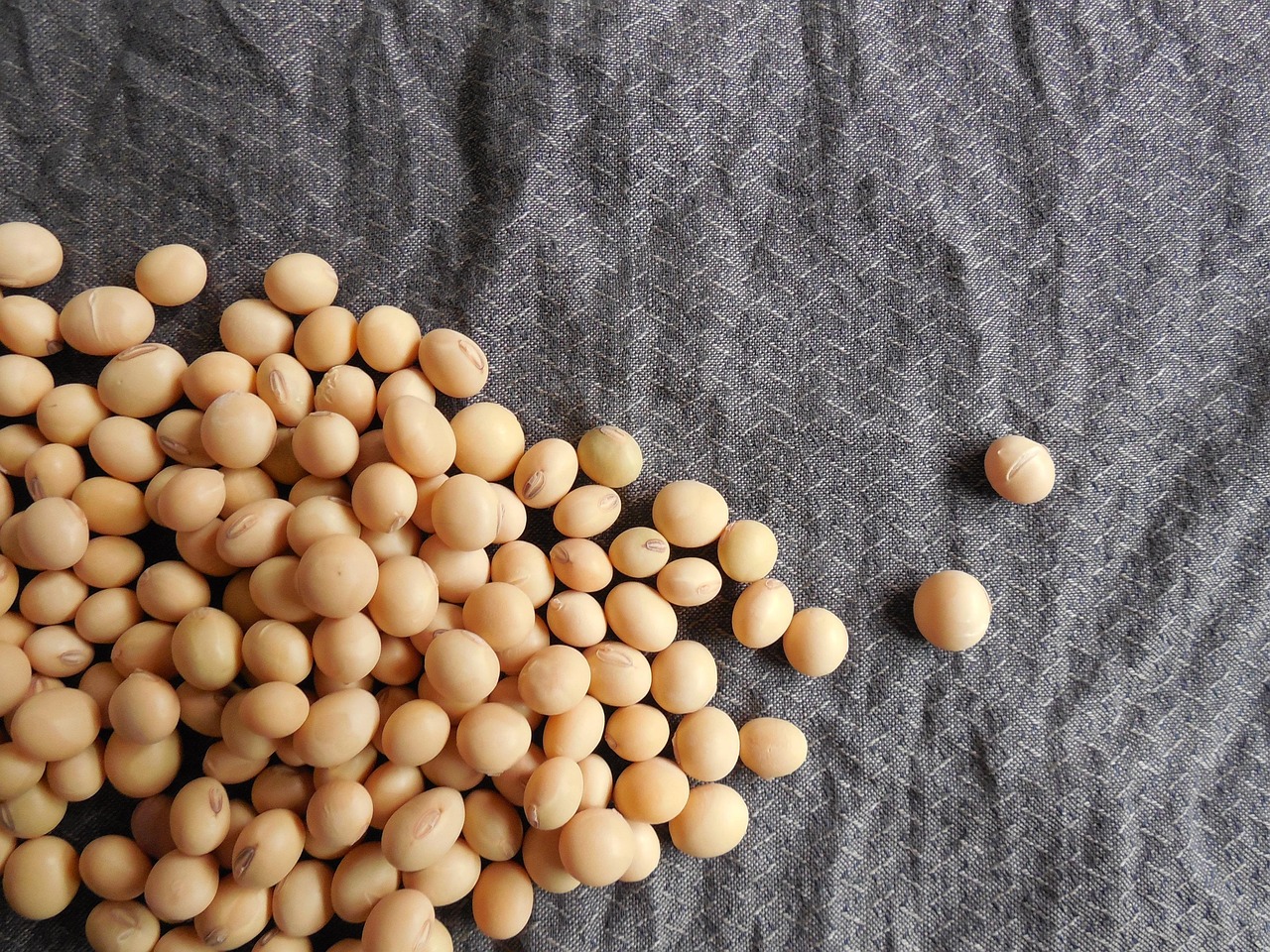 The Future of Protein Is Already Here (image credits: pixabay)