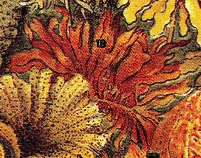 Dulse: The Red Sea Vegetable (image credits: wikimedia)