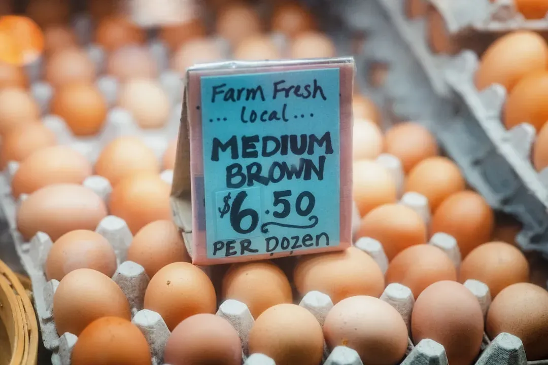 Dairy and Eggs: Where the Numbers Get Interesting (Image Credits: Unsplash)