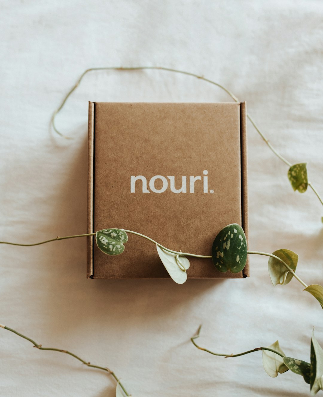Paper and Cardboard: The Safer Choice (image credits: unsplash)