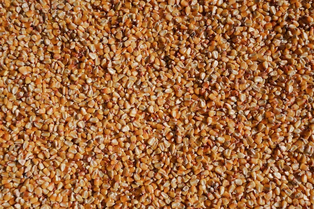 Whole Grains That Lower Inflammatory Markers (Image Credits: Unsplash)