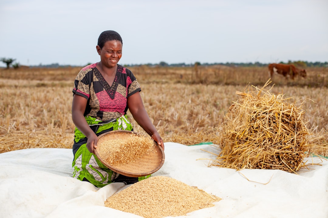 Democratic Republic of Congo Sets Growth Records (Image Credits: Unsplash)