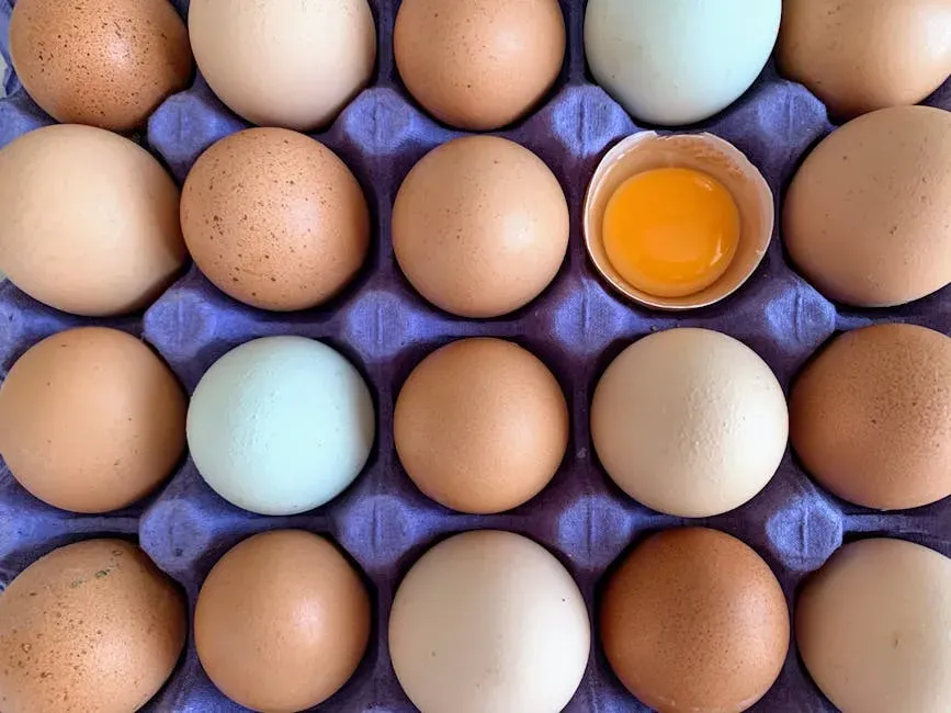 The Egg Price Shock and Other Brutal Realities of 2024-2025 (Image Credits: Pexels)