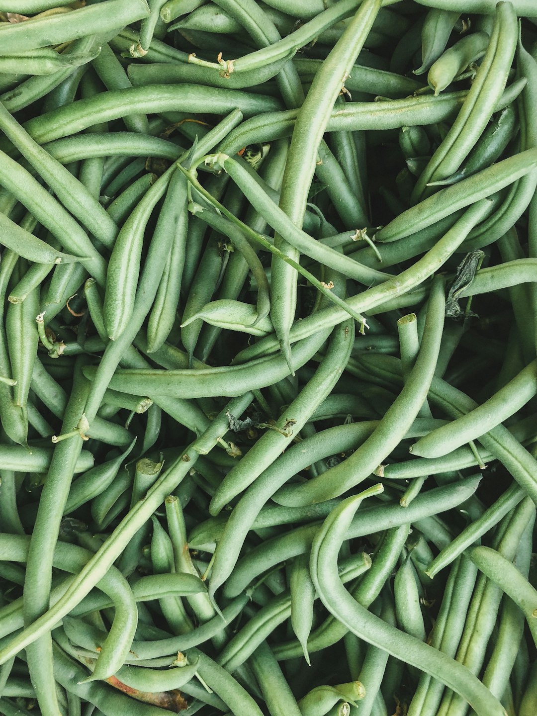 Green Beans: Everyday Staple With Surprising Value (image credits: unsplash)
