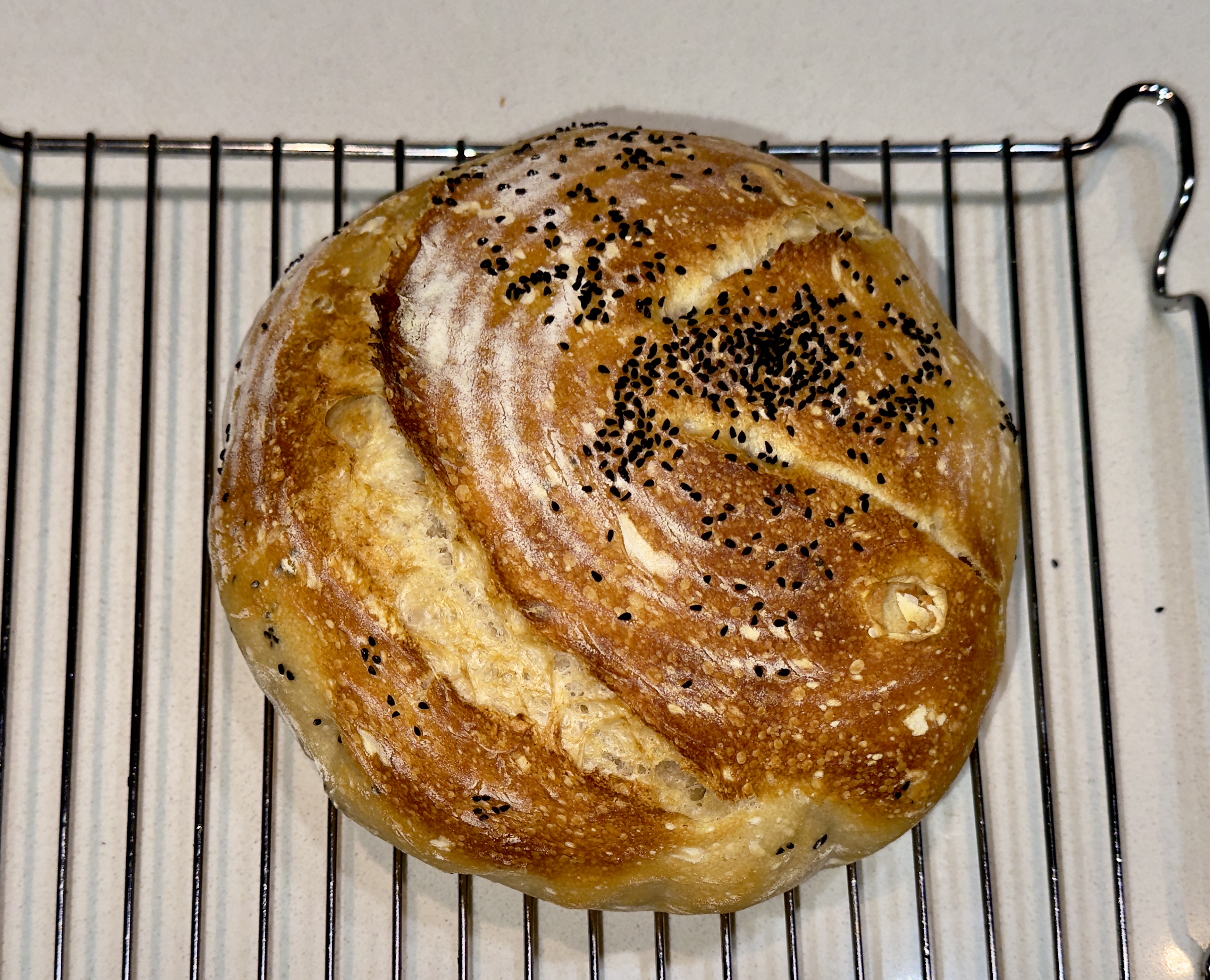The Future of Sourdough (image credits: wikimedia)