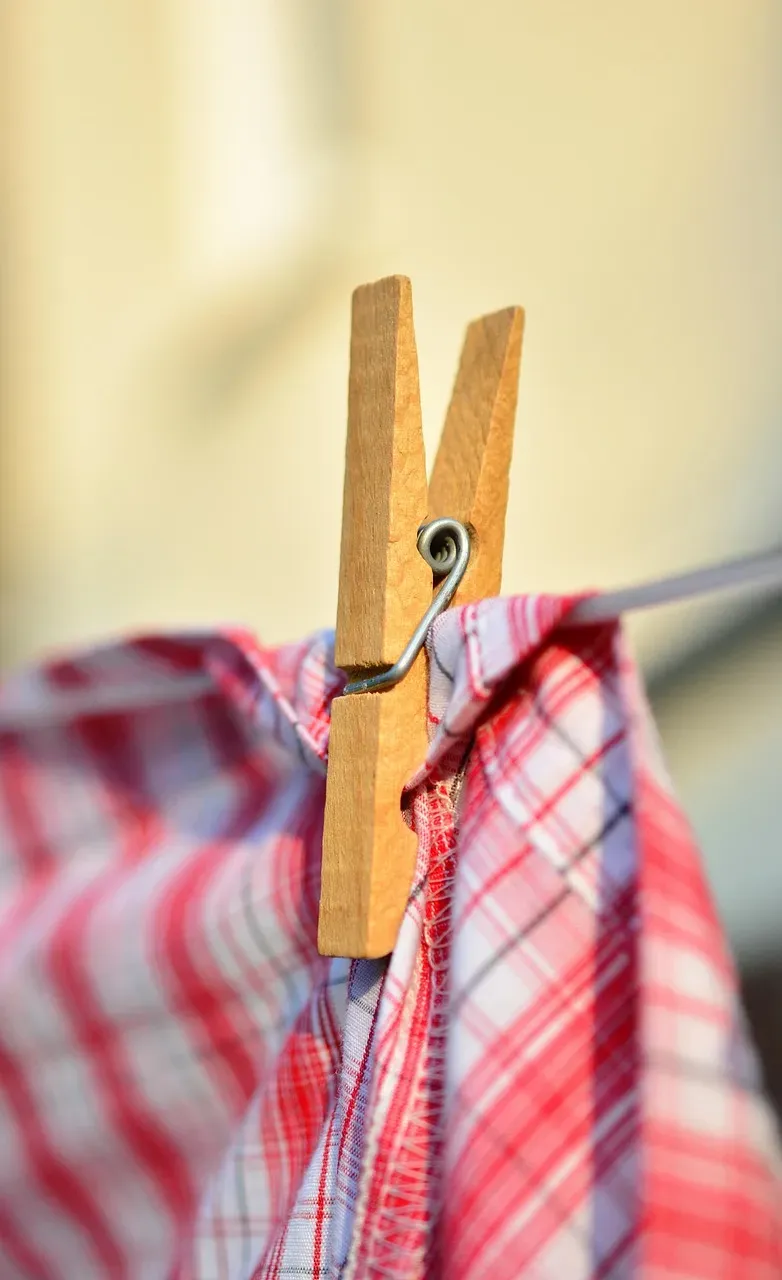 Laundry Day Was Actually Laundry Week (Image Credits: Pixabay)