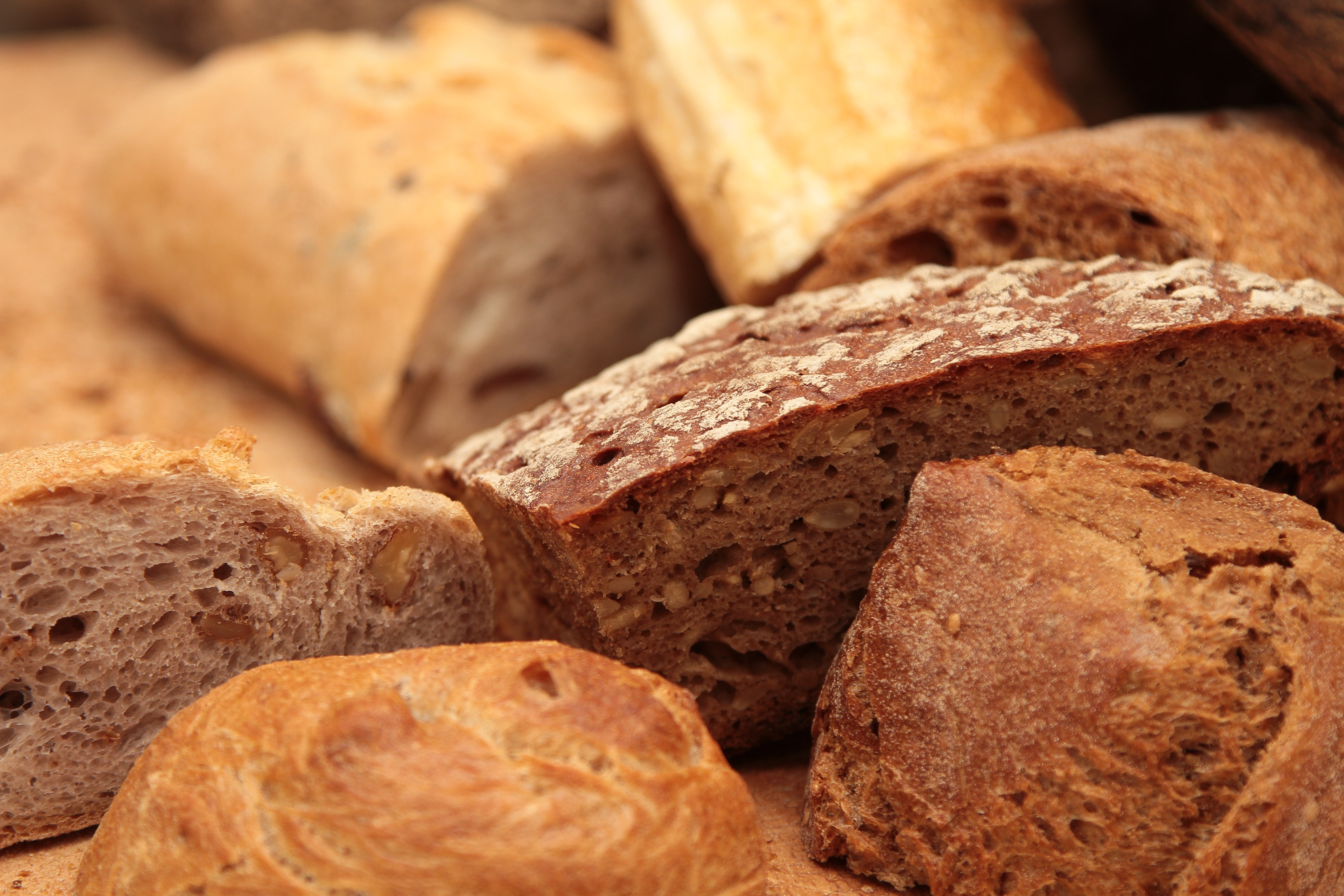 The Great Bread Debate (Image Credits: Wikimedia)
