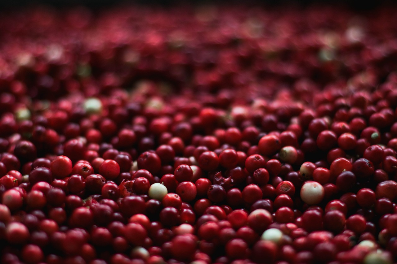 Cranberries (Dried or Fresh): Tart and Tangy (image credits: pixabay)