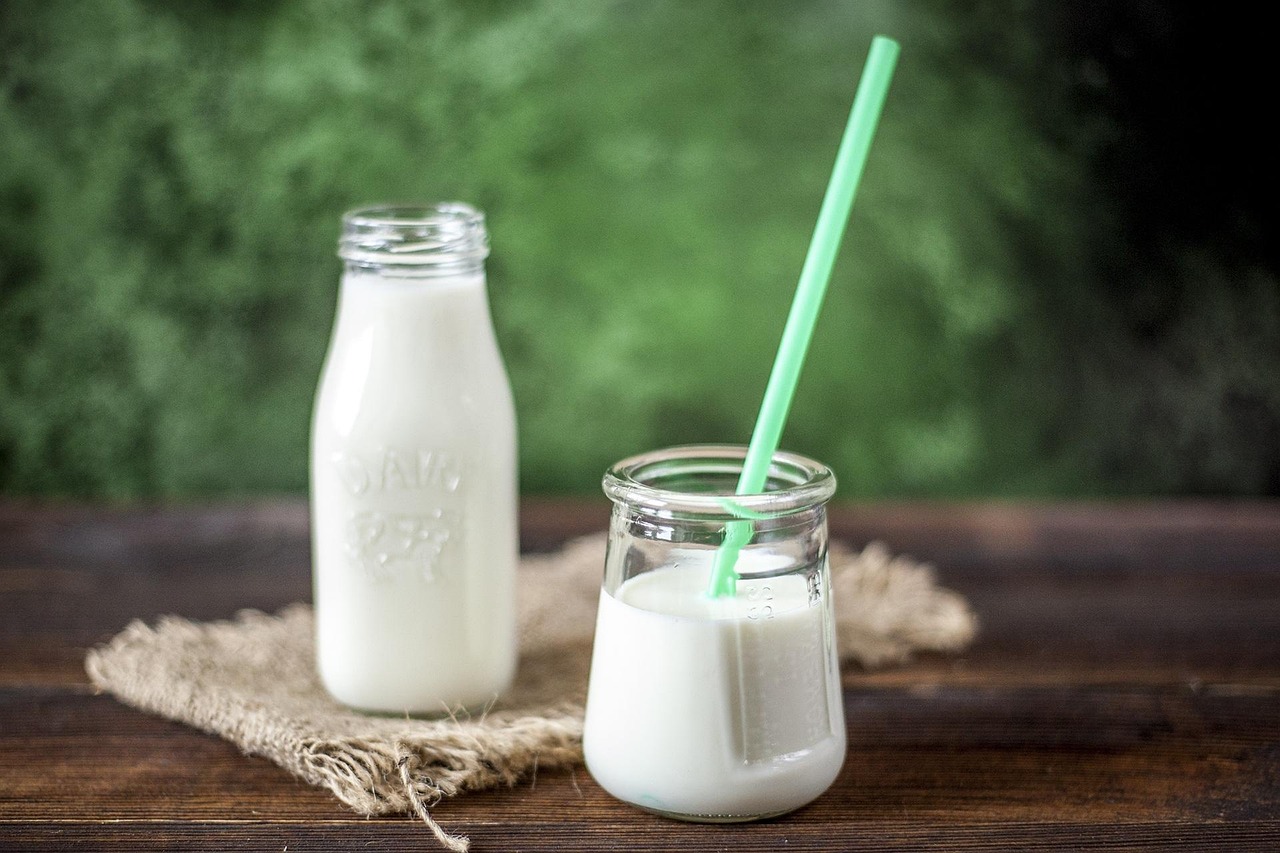 Yogurt: Probiotic and Calcium Source (image credits: pixabay)