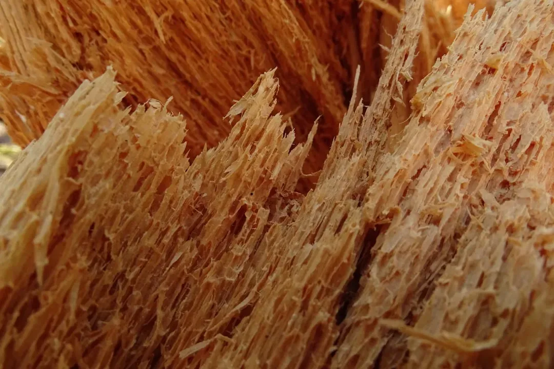 Why Fiber Works: The Science Behind Lasting Fullness (Image Credits: Unsplash)