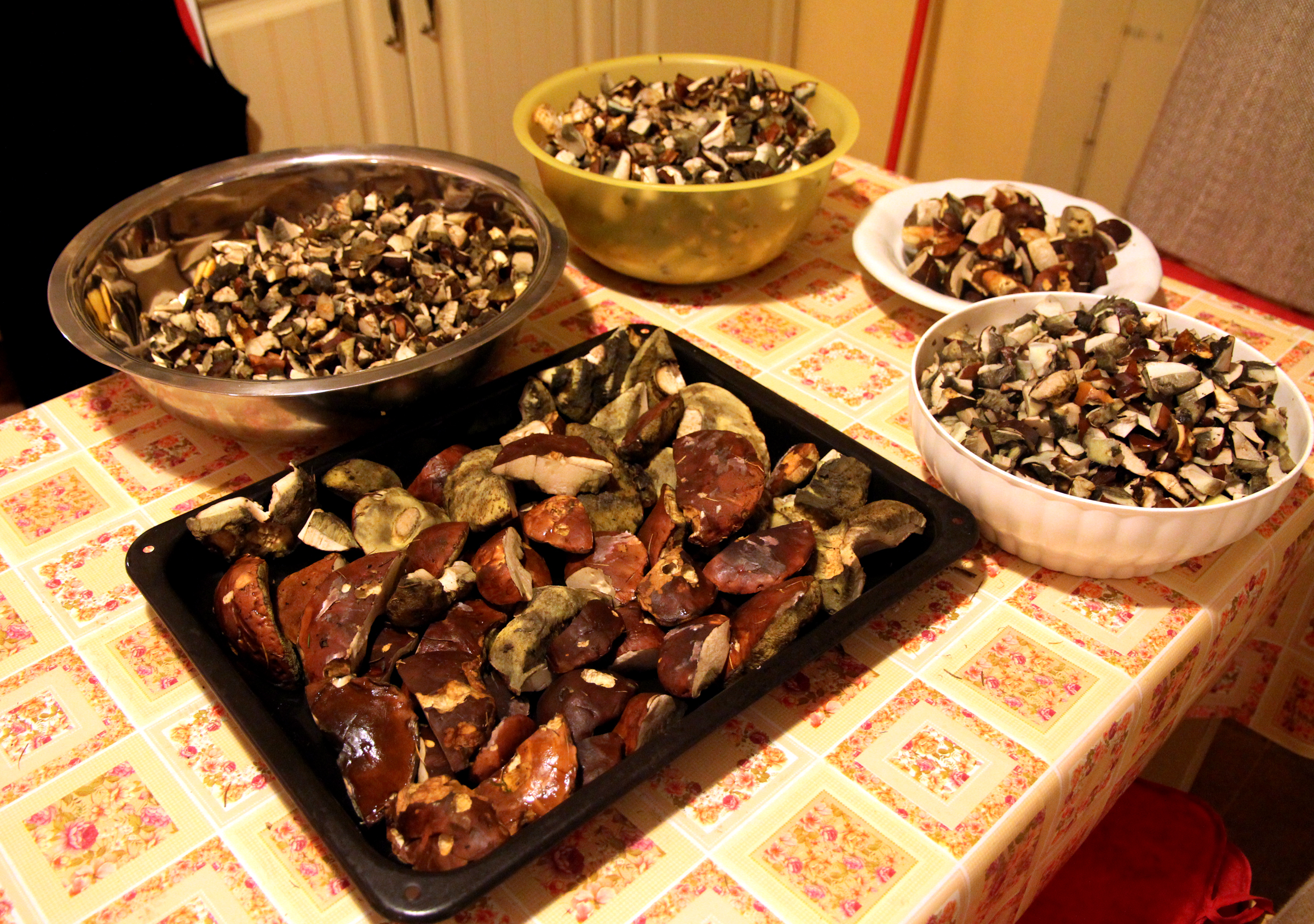 Mushrooms: The Sponge Effect That Ruins Flavor (image credits: wikimedia)