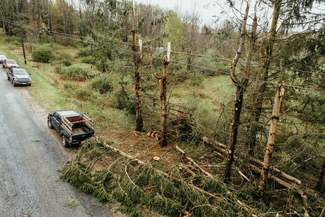 Climate Disasters Create New Food Deserts (image credits: unsplash)
