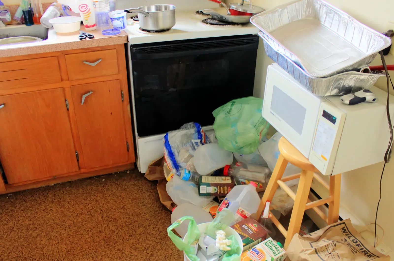 When Good Intentions Meet Kitchen Reality (Image Credits: Wikimedia)