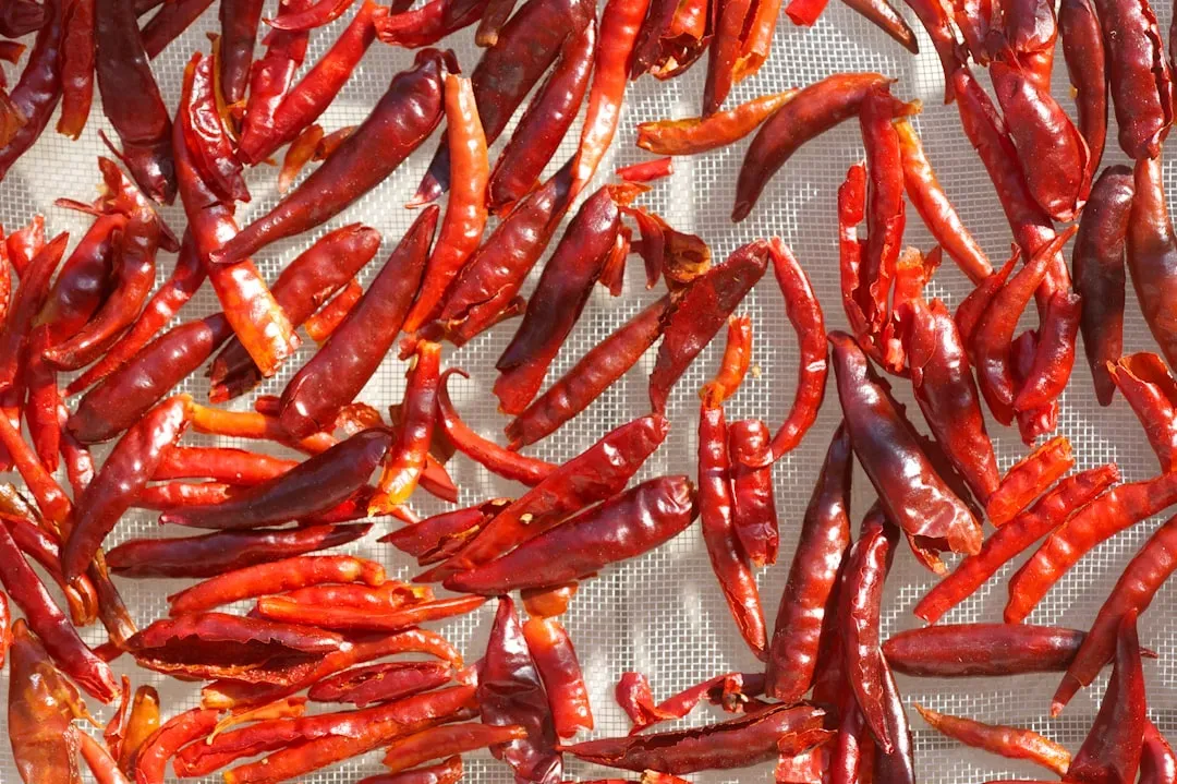 Chiles: More Than Heat, a Whole Language of Flavor (Image Credits: Unsplash)