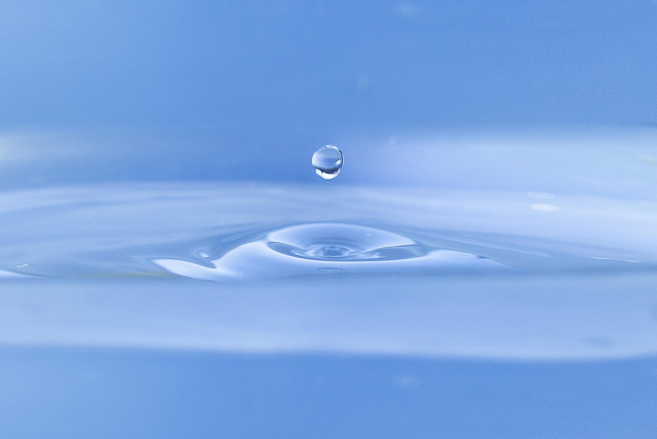 The Science Behind Hydration and Basal Metabolic Rate (image credits: pixabay)