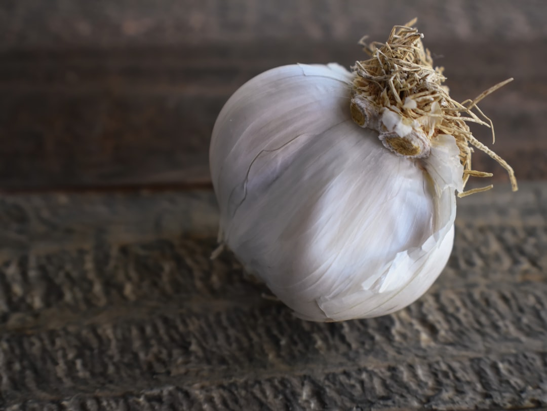 Garlic (image credits: unsplash)
