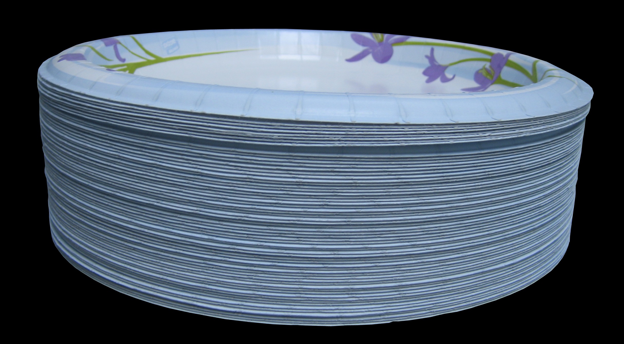 Disposable Paper Plates With Plastic Coatings (image credits: wikimedia)