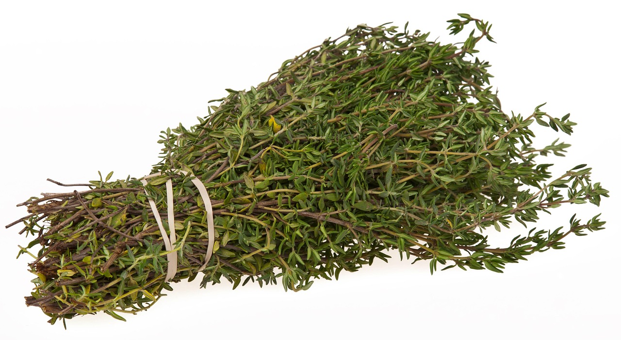 Thyme: The Respiratory Ally (image credits: pixabay)