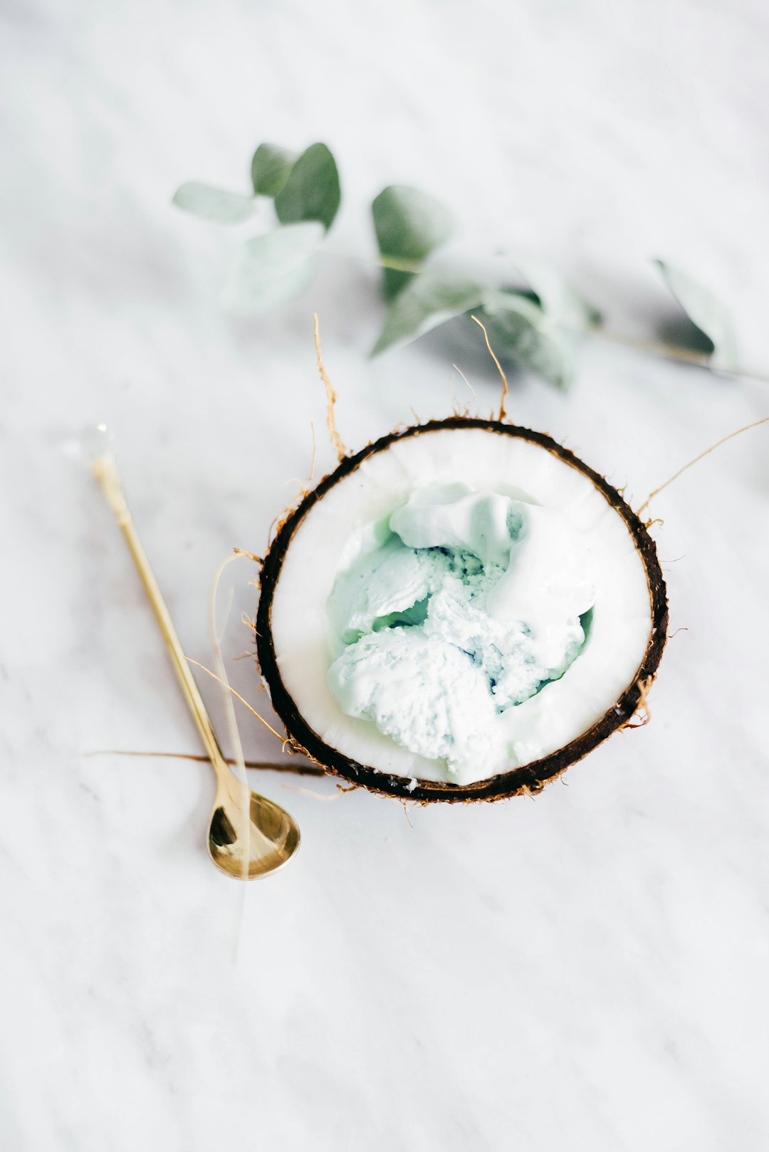 Coconut Milk Ice Cream (image credits: unsplash)