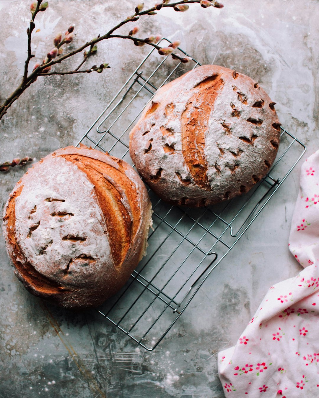 Sprouted Grain Bread: Packed With Nutrients and Protein (image credits: unsplash)