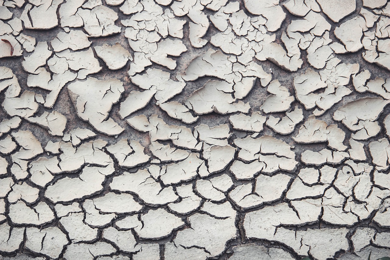 Crystal Geyser: Falling from Favor (image credits: pixabay)