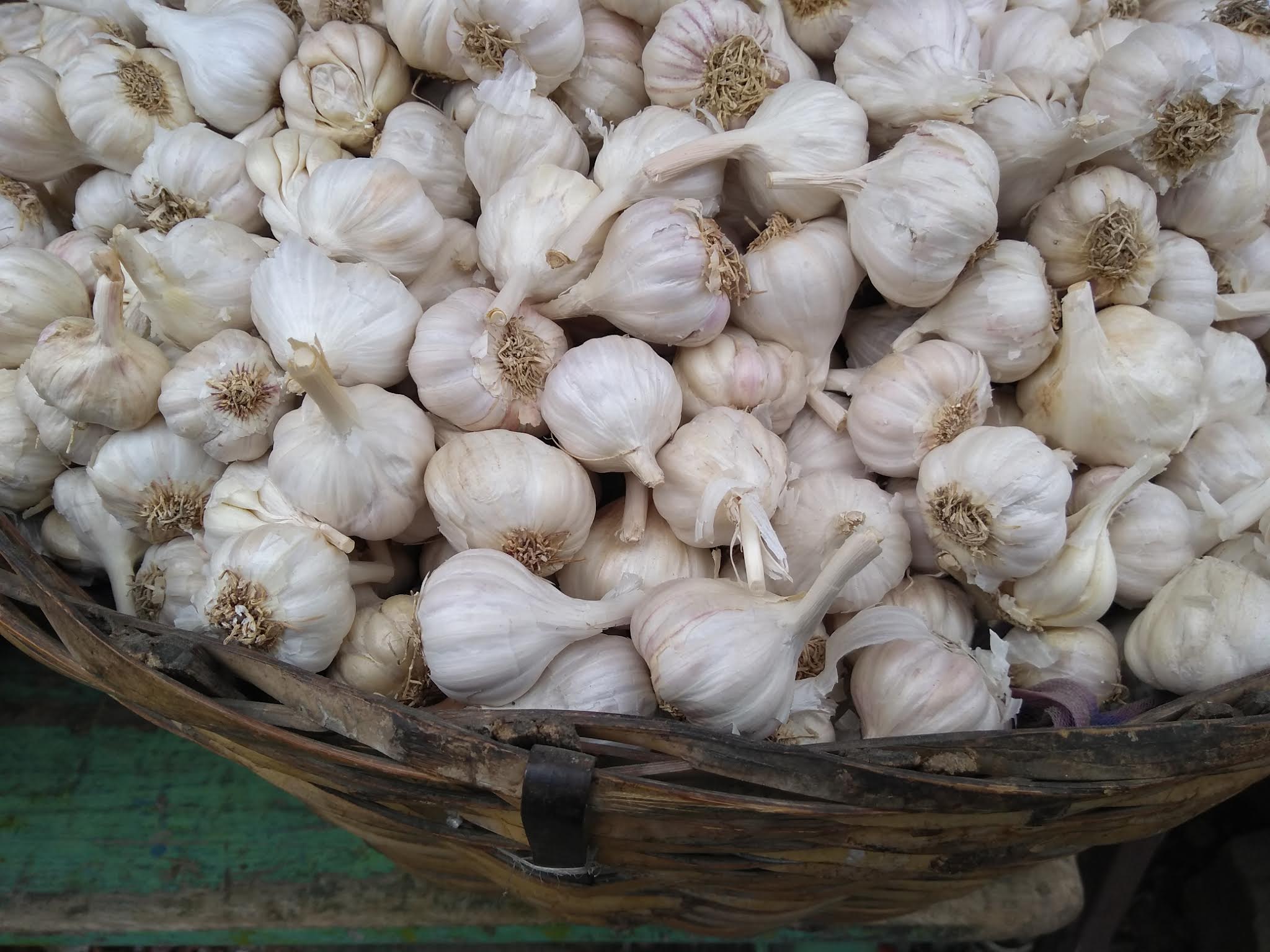 Garlic (image credits: wikimedia)