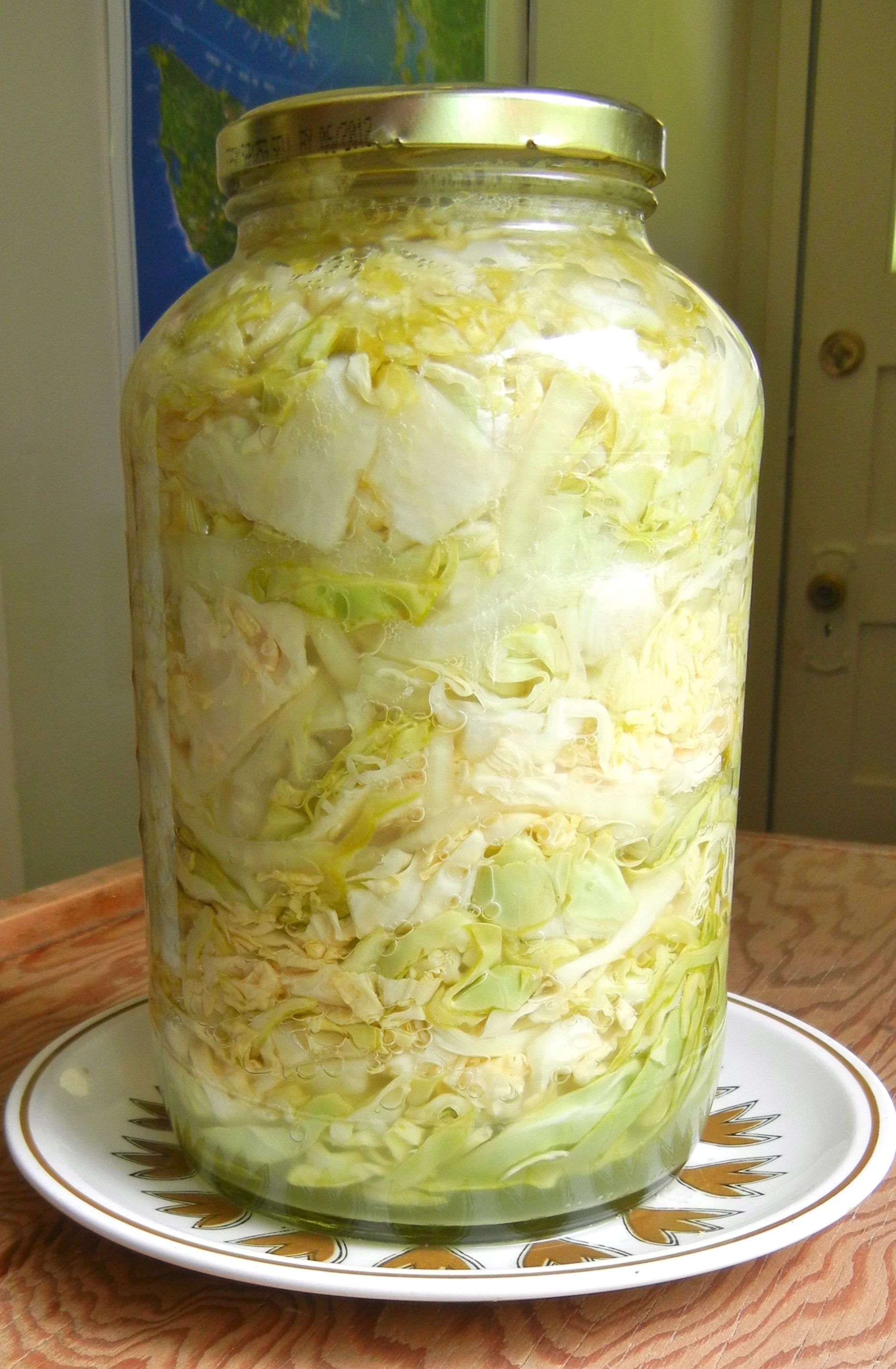 Sauerkraut: A Fermented Favorite (image credits: wikimedia)