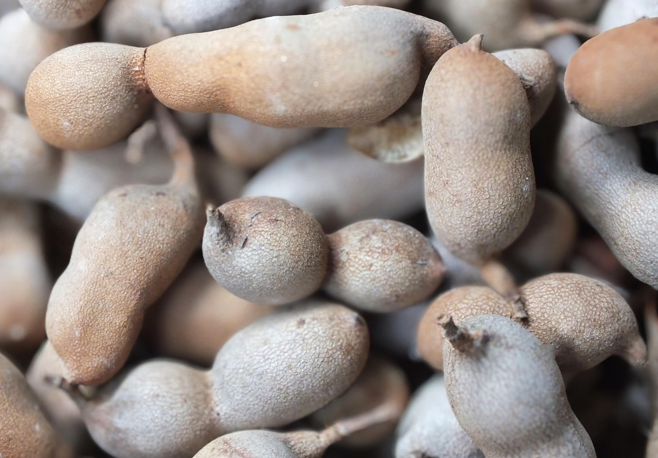 6. Tamarind (image credits: pixabay)