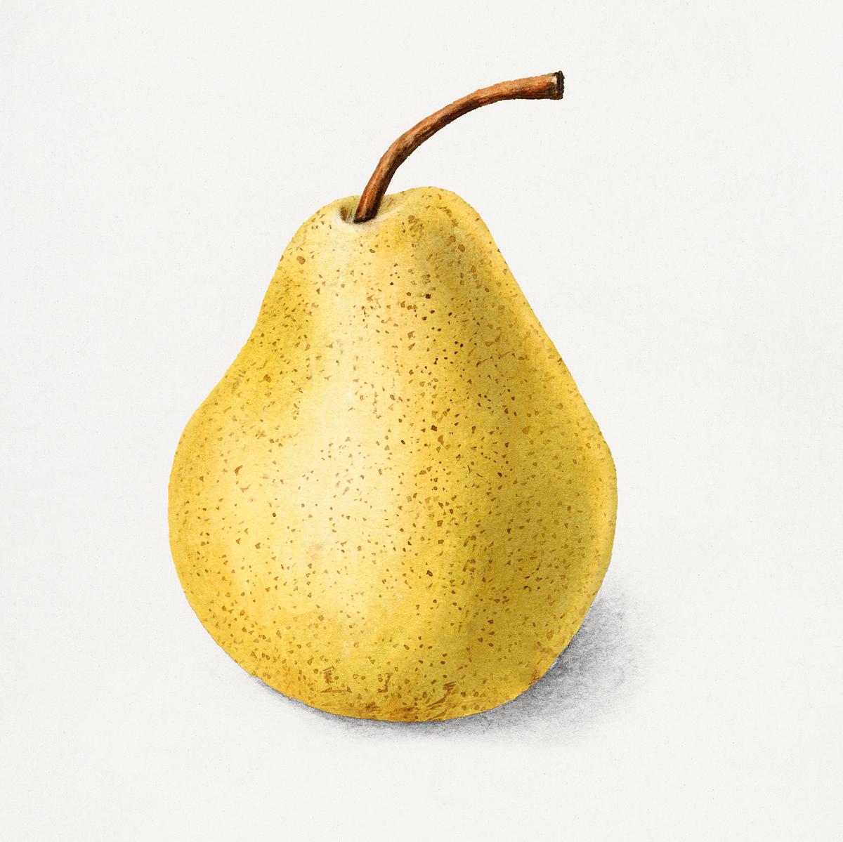 Pears (image credits: rawpixel)
