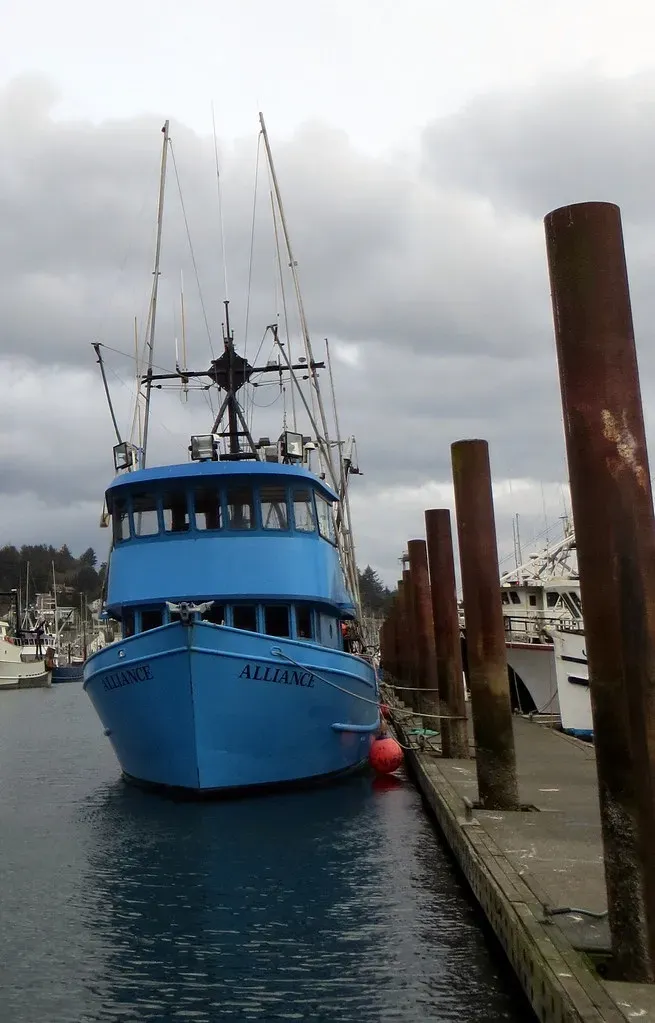 4. Newport, Oregon - Pacific Northwest Seafood Heaven (Image Credits: Flickr)