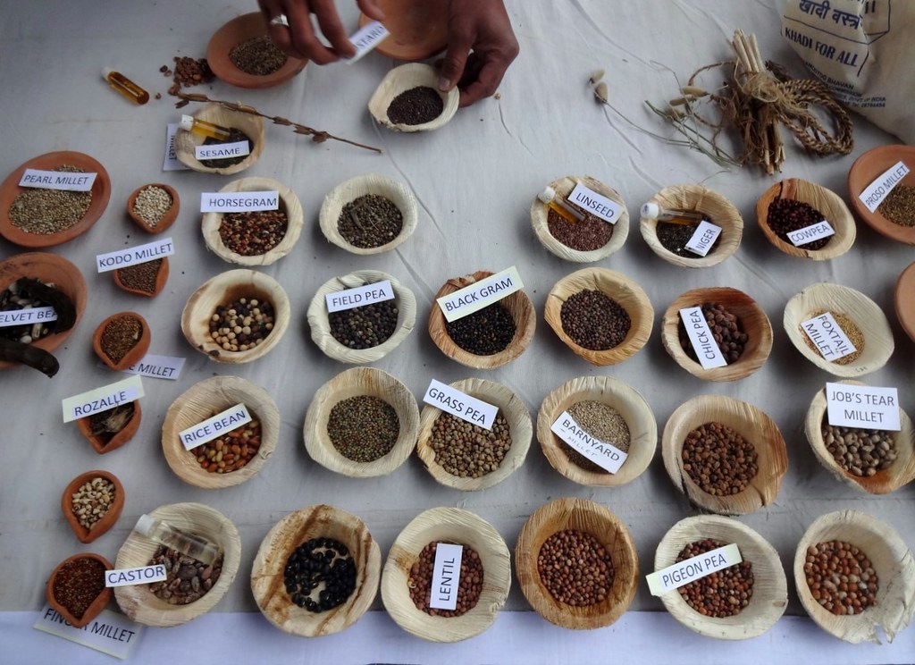 Federal Government Support Creates Institutional Change (Image Credits: Flickr)