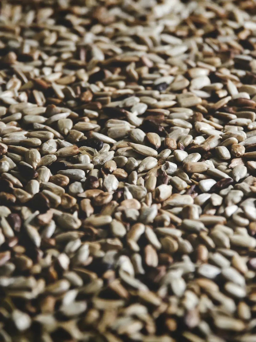 3. Sesame Seeds: Hidden Anti-Nutrients Beneath a Tiny Shell (Image Credits: Unsplash)