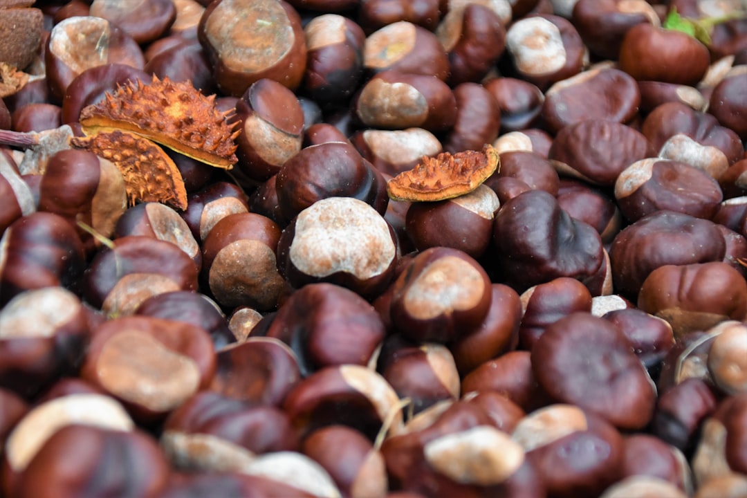 Chestnuts Stand Apart as the Low-Fat, High-Carb Exception (image credits: unsplash)