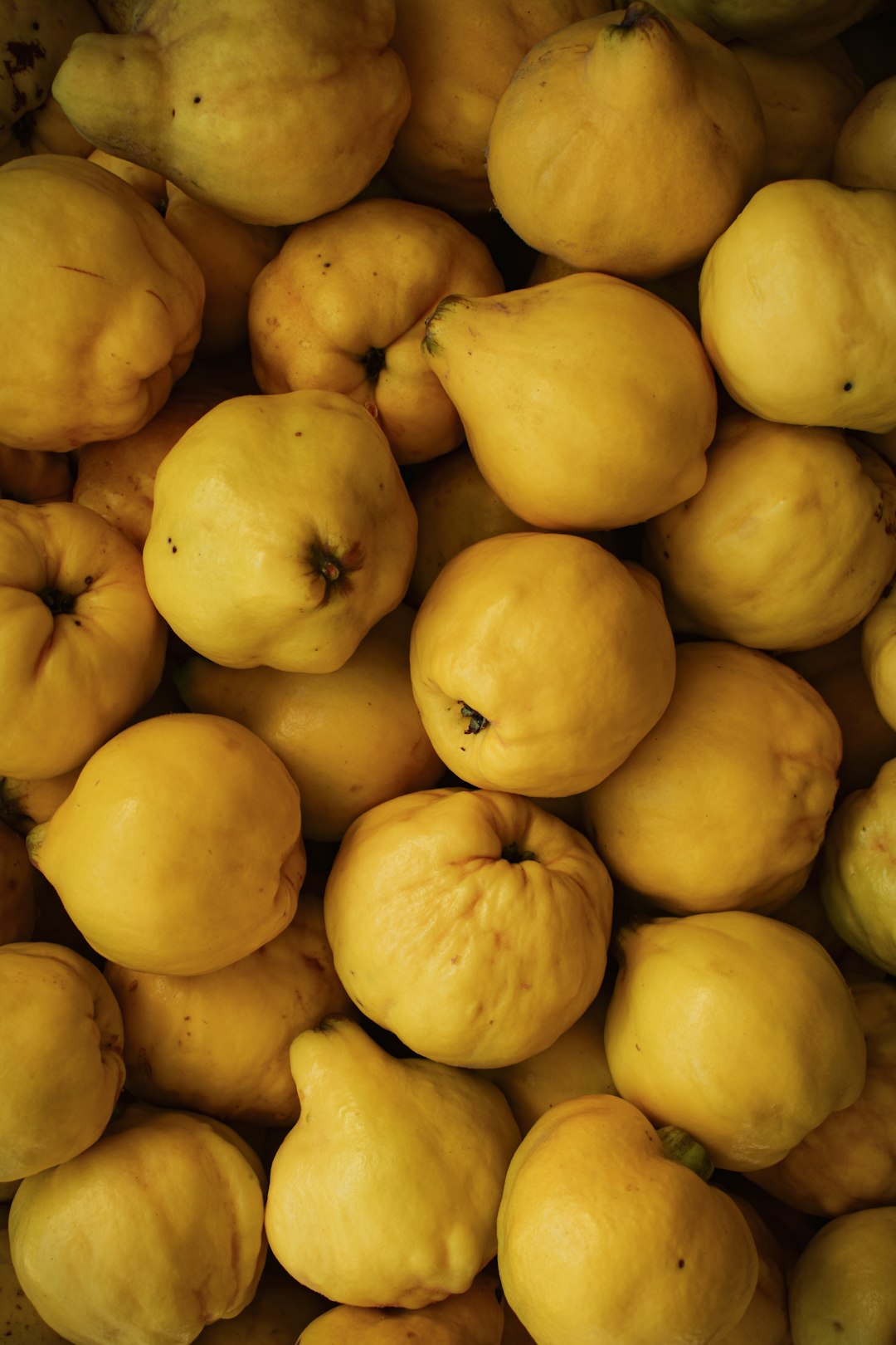8. Quince: The Ancient Fruit (image credits: unsplash)