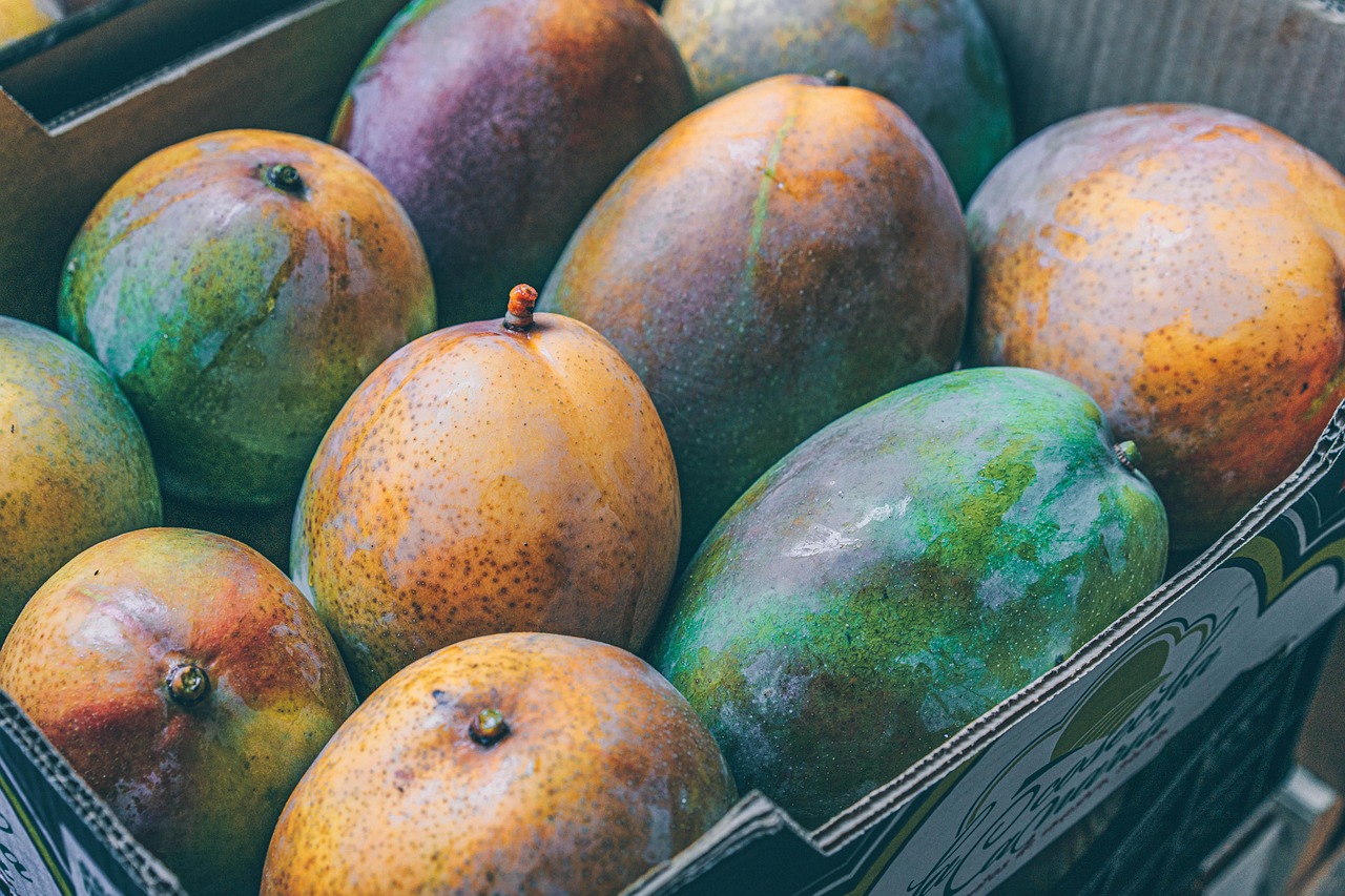 Mangoes (image credits: pixabay)