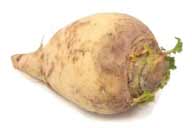 Rutabaga: The Hardy Root That Survived Wars (image credits: wikimedia)
