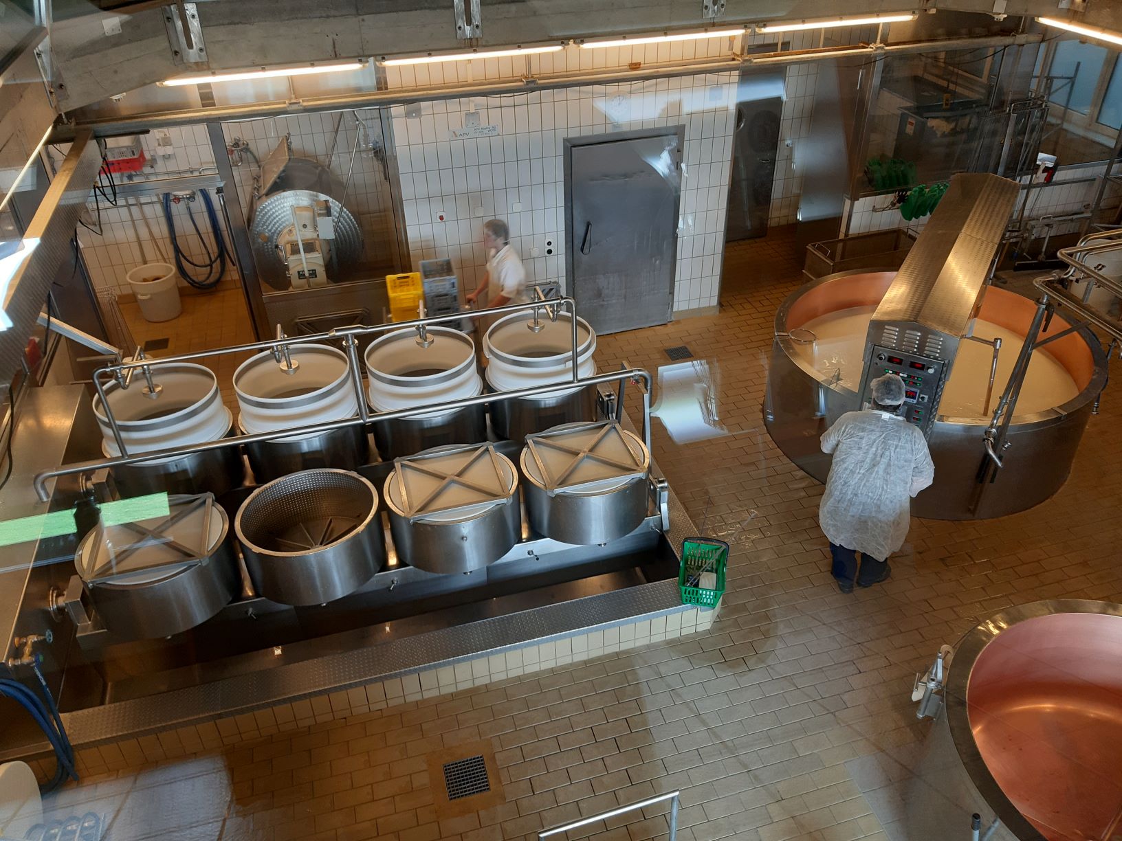 Innovation in Cheese Varieties (image credits: wikimedia)