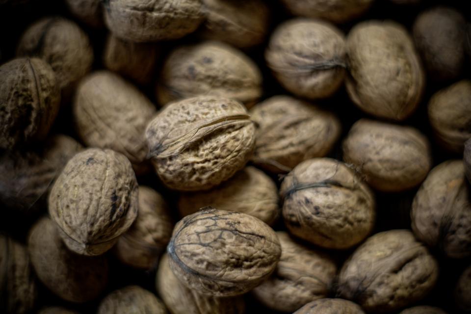 Nuts and Seeds: Nature's Brain-Protecting Snacks (image credits: stocksnap)