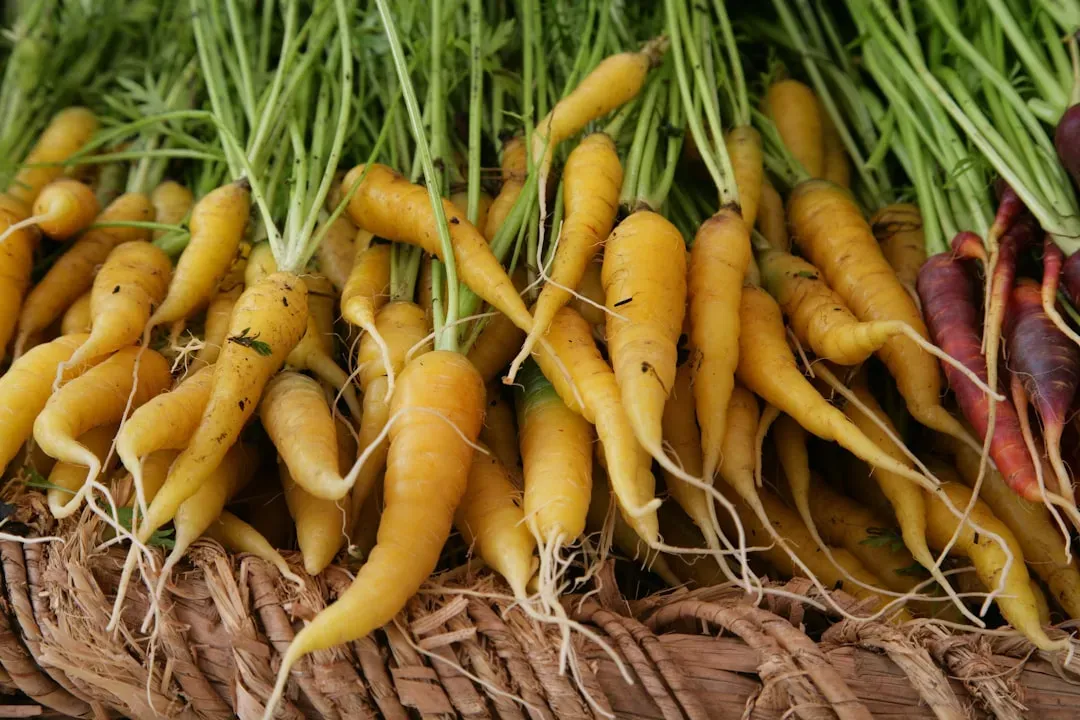 Root Cellar Vegetables in Sawdust Storage (Image Credits: Unsplash)